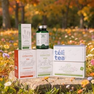 Herbstpaket